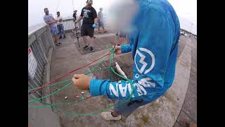 Catching a Cobia off the Pier in PCB Florida Pier Fishing is fun [upl. by Sterner706]