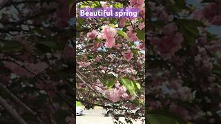 Beautiful UT Spring time [upl. by Noffets]