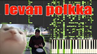 Cat Vibing To Ievan Polkka MIDI  levan polkka piano sound [upl. by Sucitivel951]