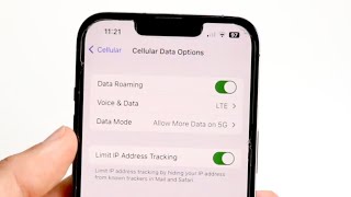 How To Turn On Data Roaming On ANY iPhone 2023 [upl. by Huba28]