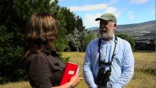 Top five birdwatching tips [upl. by Chirlin]