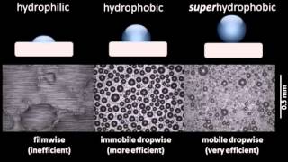 BoseEinstein condensation [upl. by Goodson]