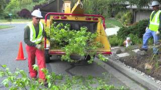 Como prevenir muertes causadas por astilladoras de madera Preventing Wood Chipper Fatalities [upl. by Yrgoerg181]