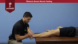 Fibularis Brevis Muscle Test Palp Dr Vizniak Muscle Manual [upl. by Loftus41]