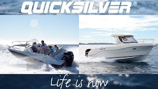 Quicksilver  Life is now [upl. by Demahum]