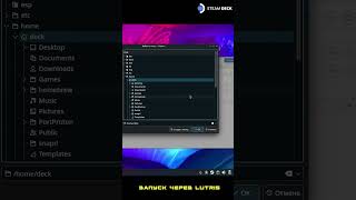 ❗Запуск через Lutris❗  Steam deck shorts steamdeck steamdeckgamemode [upl. by Aseefan]