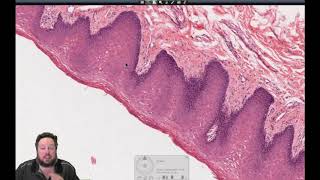 Histology 101 Livestream 1 [upl. by Nyrehtak]