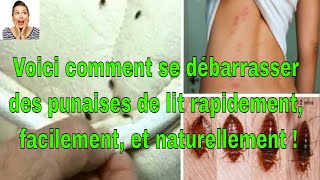 Voici comment se débarrasser des punaises de lit rapidement facilement et naturellement [upl. by Kreda720]