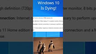 Windows 10 user time to switch to linux linux windows windowsvslinux [upl. by Cavallaro65]