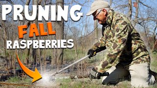 Pruning Raspberries [upl. by George]