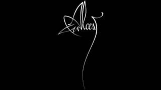 Alcest  Live in XiAn 2011 Full Concert [upl. by Eixel947]