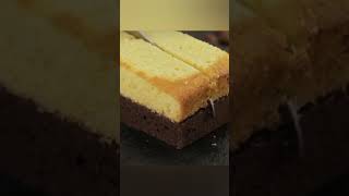 Battenberg cake music song tamil bgm love religion fatimafaisal [upl. by Boothe751]