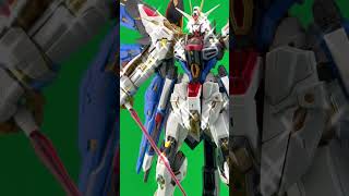 MGEX Strike freedom gundam gundam bandaigundam bandai strikefreedom [upl. by Sigismondo]