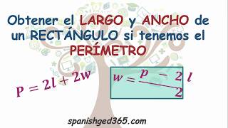 Cómo obtener el largo y ancho de un rectángulo [upl. by Porush]