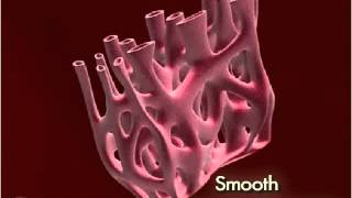 Endoplasmic Reticulum Smooth 3D [upl. by Suhail]