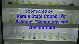 Catholicate College Botany Phycotechnology Lab KSCSTE Dr Binoy T Thomas [upl. by Delahk]