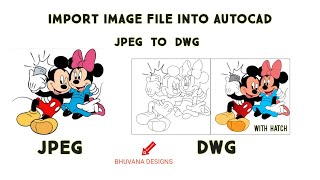 IMAGE INTO AUTOCAD [upl. by Crissie557]