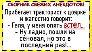 Как тракторист доярку упрашивал Сборник свежих анекдотов Юмор [upl. by Fabrianna]