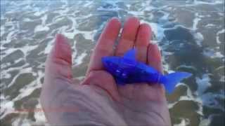 Can A Hex Bug Fish Swim in The Sea  AQUABOT Swimming Test Review Micro Robot [upl. by Jarietta]