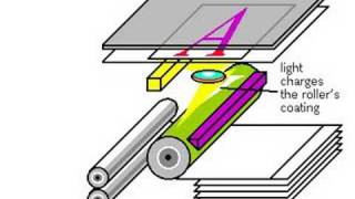 How Photocopiers Work [upl. by Quenby]