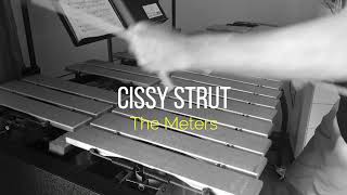 Cissy Strut The Meters [upl. by Ellerd]