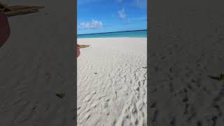 Mornings in MALDIVES travel island [upl. by Giffer]