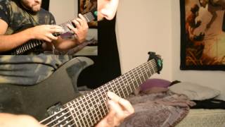 Summer Rain  Clean 8 String Guitar Arrangement Ibanez RG2228 Pod HD500 [upl. by Liatris696]