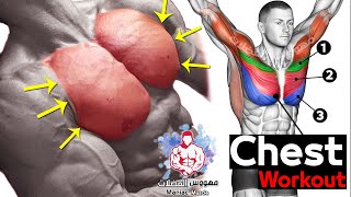 Best 6 Chest Workout  Full Exercises  Maniac Muscle  BarbellDumbbellBodyweight  Pec Workout [upl. by Akinom]