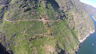 BODEGA REGOA RIBEIRA SACRA SPAIN DRONE 4K [upl. by Anilag943]