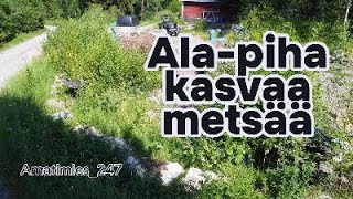 Alapiha kasvaa metsää Solis joutuu kaivuu hommiin [upl. by Ahsam]