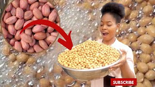 HOW I TURNED MY 1 PAINT OF GROUNDNUT INTO 3 PAINTS OF COATED PEANUTS [upl. by Adnyl]