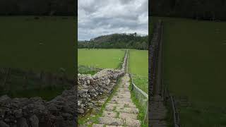 Hadrians Wall Built from 122AD running for 73 miles across the north of England history uk fyp [upl. by Kcirrek]