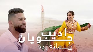 Adeeb Juyan  Paimana Bede  ادیب جویان  پیمانه بده [upl. by Dean]