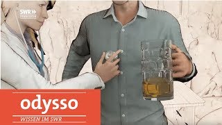 Wie sich der Körper vom Alkohol erholt  SWR Wissen [upl. by Codi]