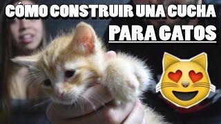 CÓMO CONSTRUIR UNA CUCHA PARA GATO  Tutorial [upl. by Mar]