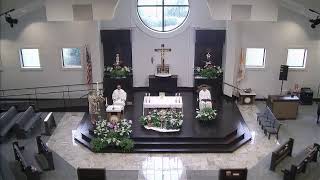 St Francis of Assisi Live Stream [upl. by Meekyh411]