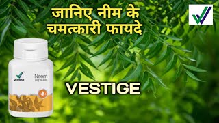 VESTIGE NEEM KE FAYADE ॥ BENEFITS OF NEEM ॥VESTIGE PRODUCT॥NEEM SUPPLIMENT ॥ VESTIGE PRODUCT REVIEW [upl. by Reahard]