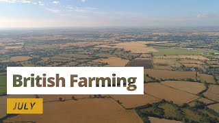 British Farming  12 Months On A UK Farm July [upl. by Aviv]