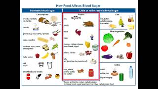 Adult Type 2 Diabetes  4 Nutrition Basics [upl. by Nosyarg]