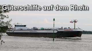 Güterschiffe auf dem Rhein  Binnenschifffahrt  Shipspotting [upl. by Dodson]