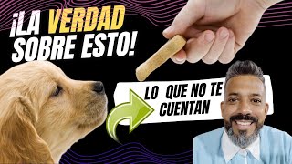 quotLa Verdad Sobre El Adiestramiento Canino ¿Estás Tirando Tu Dineroquot [upl. by Yar]