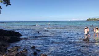 Kahalu’u Beach Park KailuaKona Hawaii November 22 2017 [upl. by Yspyg]