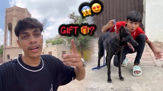 ⁠MahadPetsVlogs Ko Blacky Gift 🎁 kardain ￼ [upl. by Penni949]