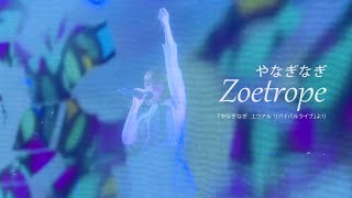 やなぎなぎ「Zoetrope」ライブ（5thアルバム「エメラロタイプ」初回限定盤A 映像特典） [upl. by Rickart]