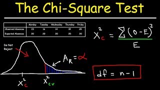 Chi Square Test [upl. by Blackman871]