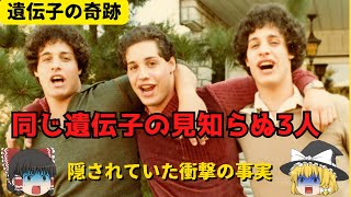 【同じ遺伝子の３人の他人】生後引き裂かれた残酷な理由とは【ゆっくり解説】 [upl. by Niliac]