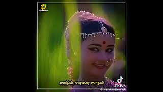 💚💚💚💚Salangai ittal oru maathu spbhits t rajender love song 💚💚💚💚 [upl. by Akirdnahs]