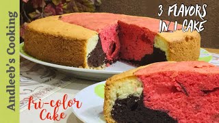 Tricolor cake  3 flavor in 1 cake  How to bake cake in convention microwave  andleeb’s cooking [upl. by Fanchet181]