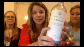 South American wine tasting Torrontes Sauvignon Blanc Malbec Carignan Sparkling [upl. by Nannerb]