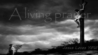 A Living Prayer  Alison Krauss HD [upl. by Ecineg]